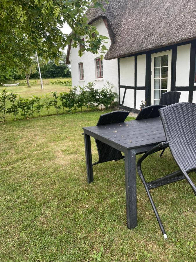 Baekgaarden 3 Rooms Apartment - Old Farm House Odense Ngoại thất bức ảnh